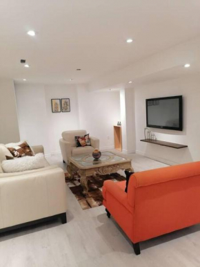 New modern basement in Milton